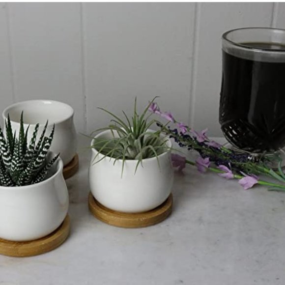 Box of 3 Pcs Ceramic Mini Planters - Picture 3 of 3